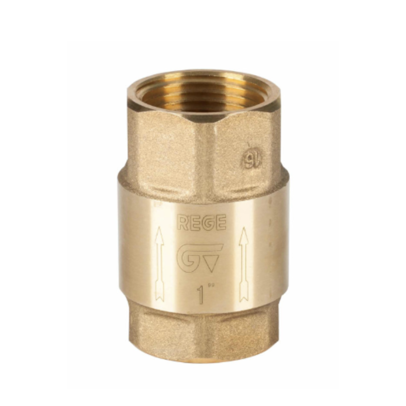 RE-GE CHECK VALVE 1